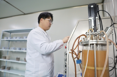 生物農藥技術研發 對抗土壤板結與鹽堿化的綠色革命