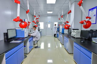 斯坦德檢測再次榮獲青島市“專精特新”稱號，生物農藥技術研發(fā)成果獲肯定