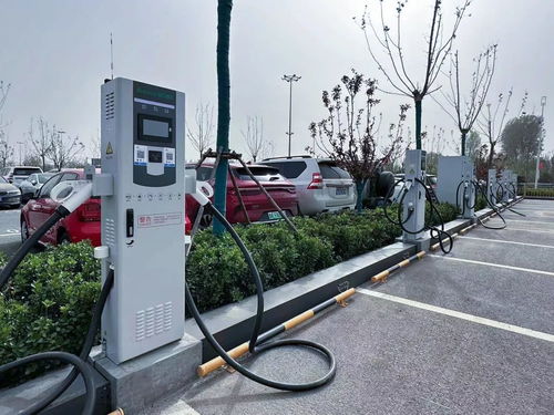 濟南機場停車服務再升級 智能化與人性化并駕齊驅